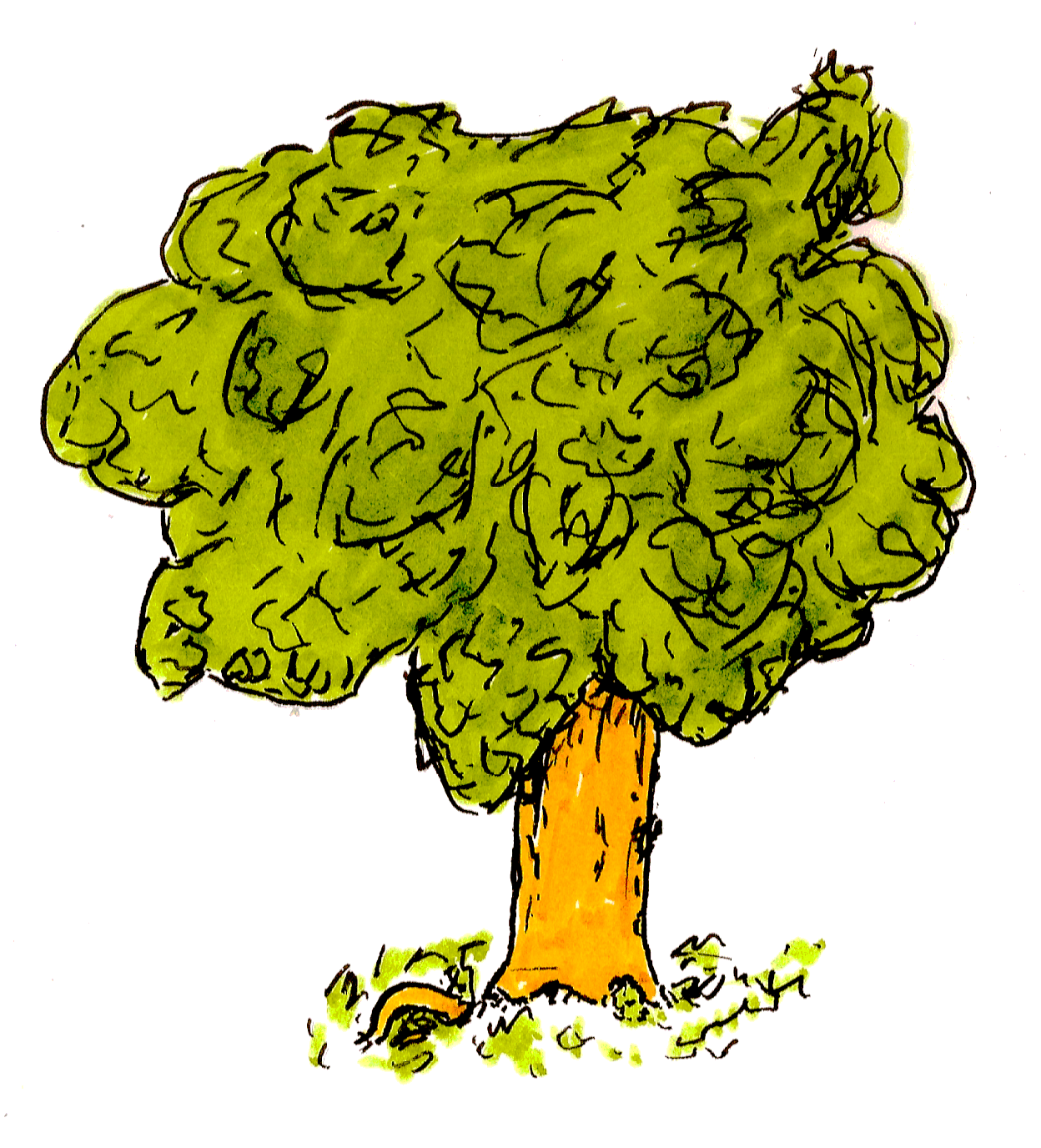 programming-scheme-tree.png